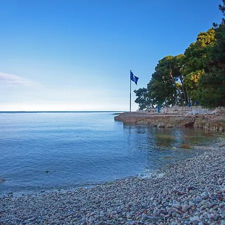 Brankica Mali Maj Porec